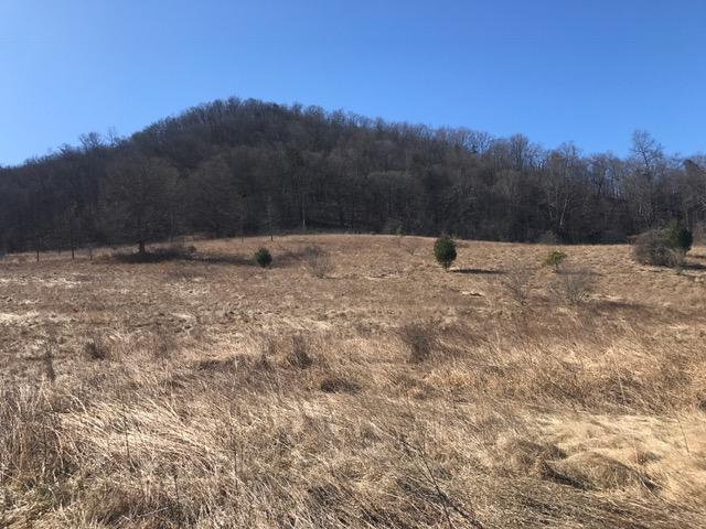 0 Big Valley Road Warm Springs, VA 24484 - Photo 3 of 18 IMG_9261