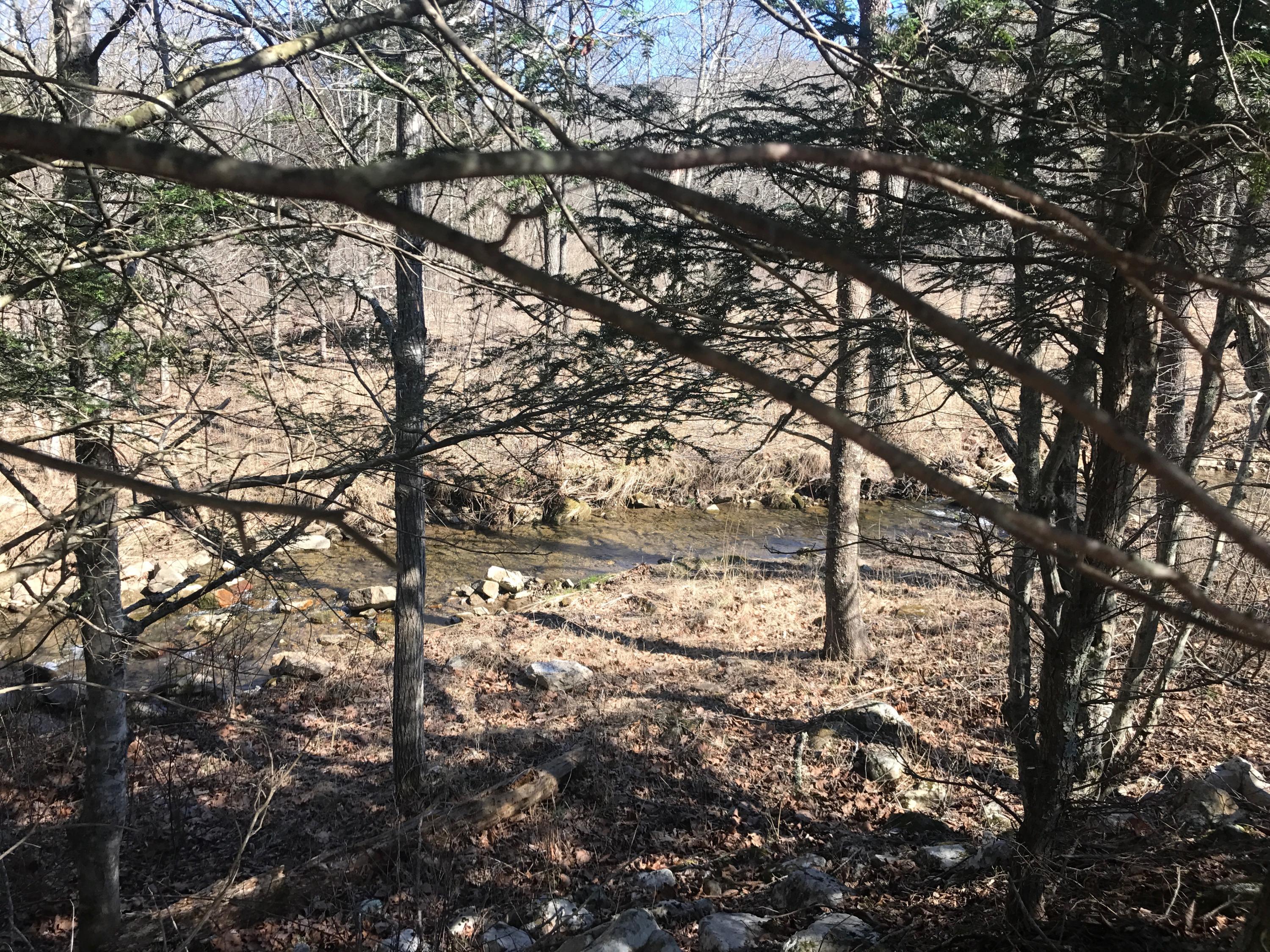 0 Big Valley Road Warm Springs, VA 24484 - Photo 4 of 18 D1917AF2-82C3-4CE5-BDAF-CA43514C290E