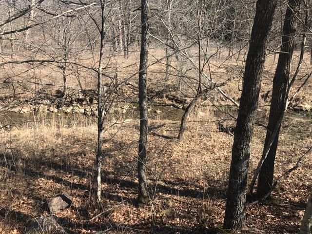 0 Big Valley Road Warm Springs, VA 24484 - Photo 5 of 18 IMG_9251