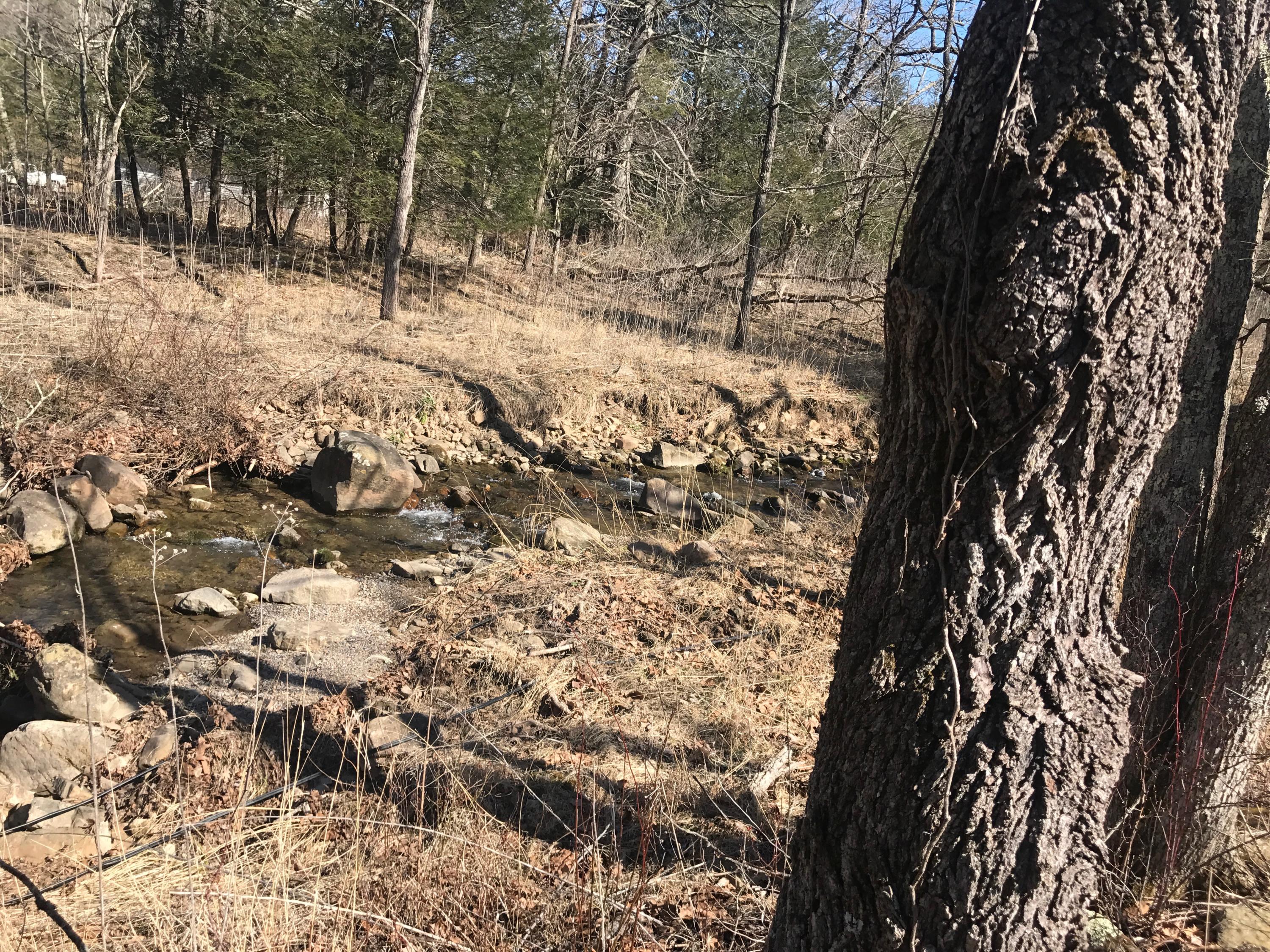0 Big Valley Road Warm Springs, VA 24484 - Photo 10 of 18 53B1D96F-E5D7-4EA1-98DB-8913A657CEA5