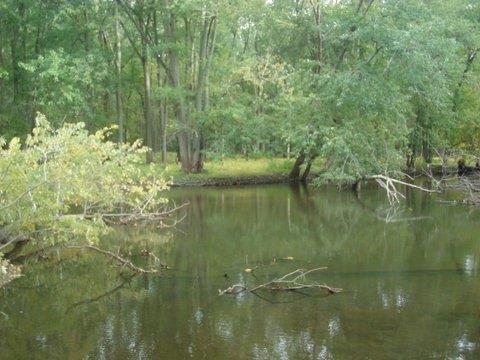 17066 River Ridge Road Tippecanoe, IN 46570 - Photo 10 of 12