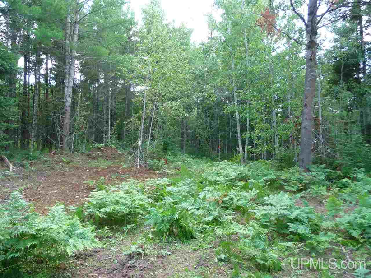 Tbd Tbd Road Republic, MI 49879 - Photo 8 of 21