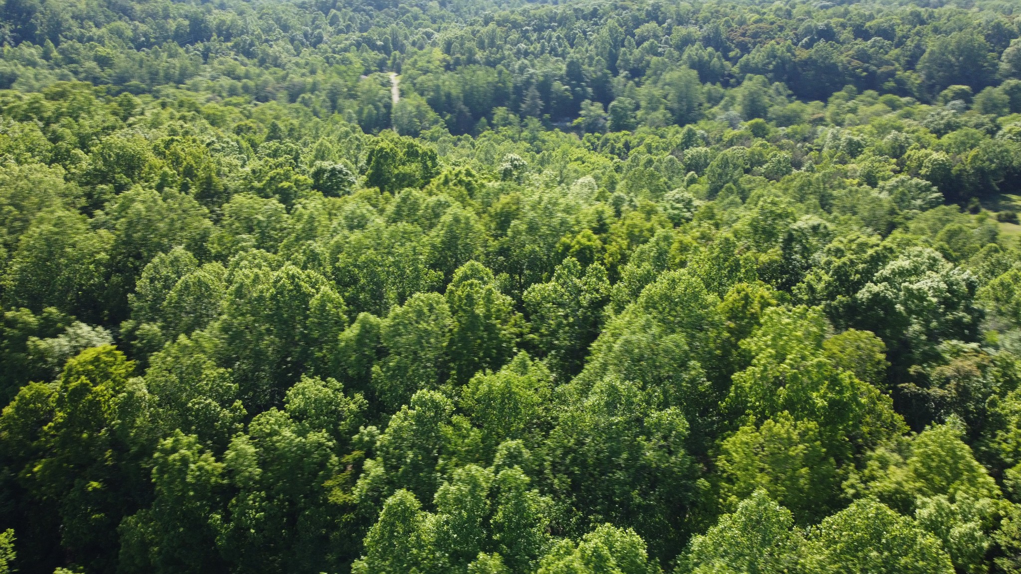 738 Rogues Fork Road Bethpage, TN 37022 - Photo 12 of 16 an aerial view of a house with a yard