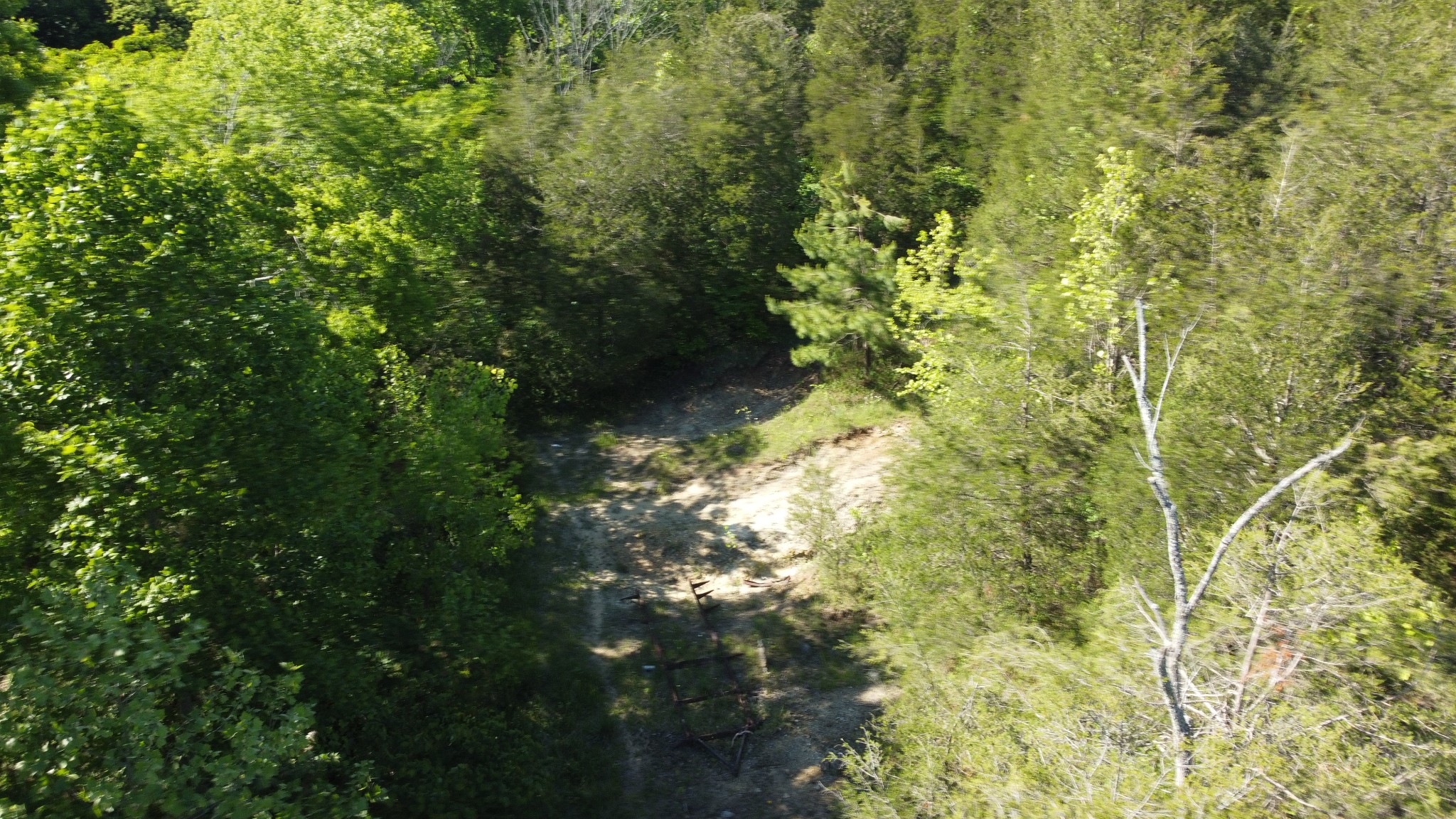 738 Rogues Fork Road Bethpage, TN 37022 - Photo 5 of 16 a view of a yard