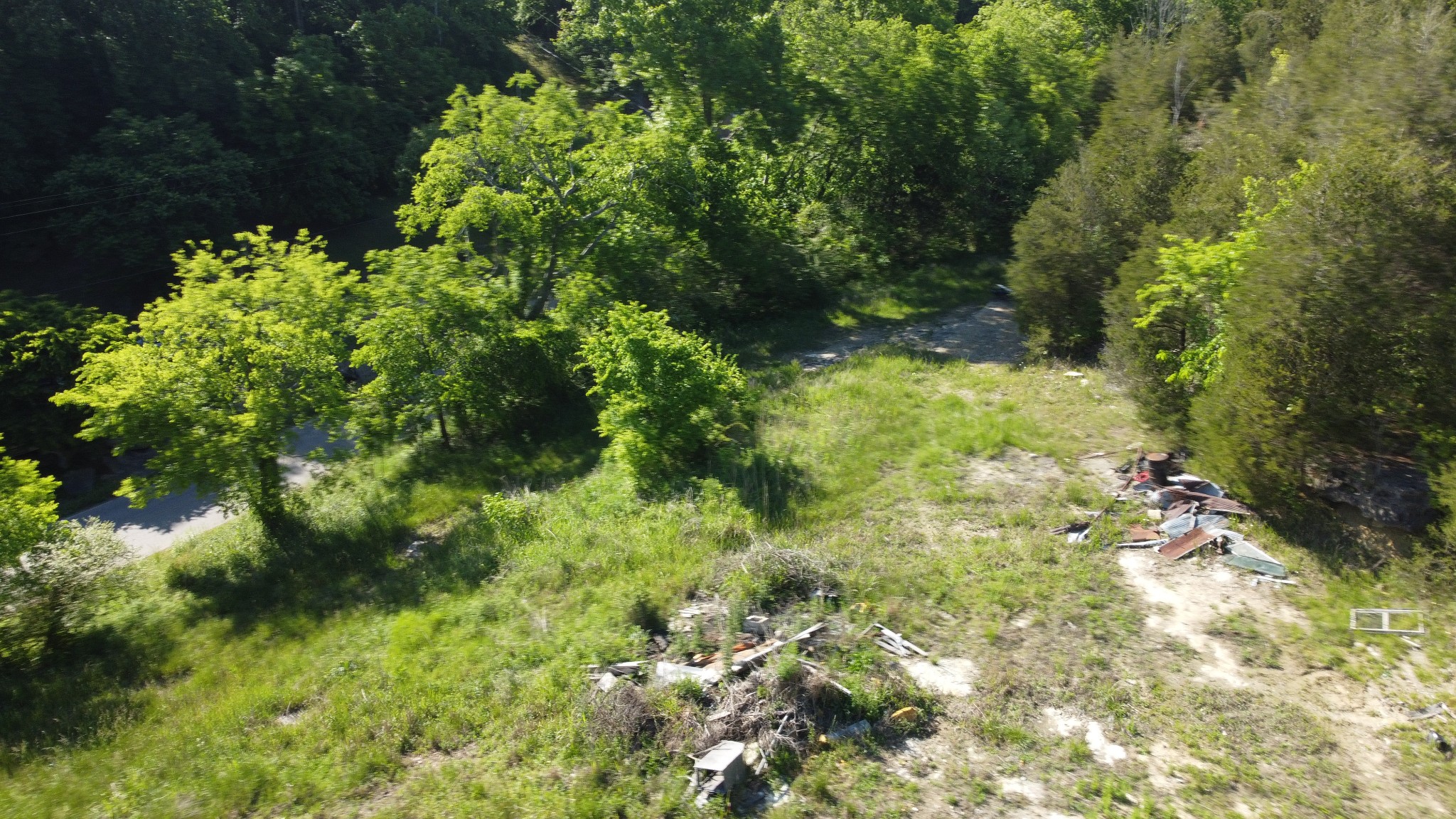 738 Rogues Fork Road Bethpage, TN 37022 - Photo 6 of 16 a view of a garden