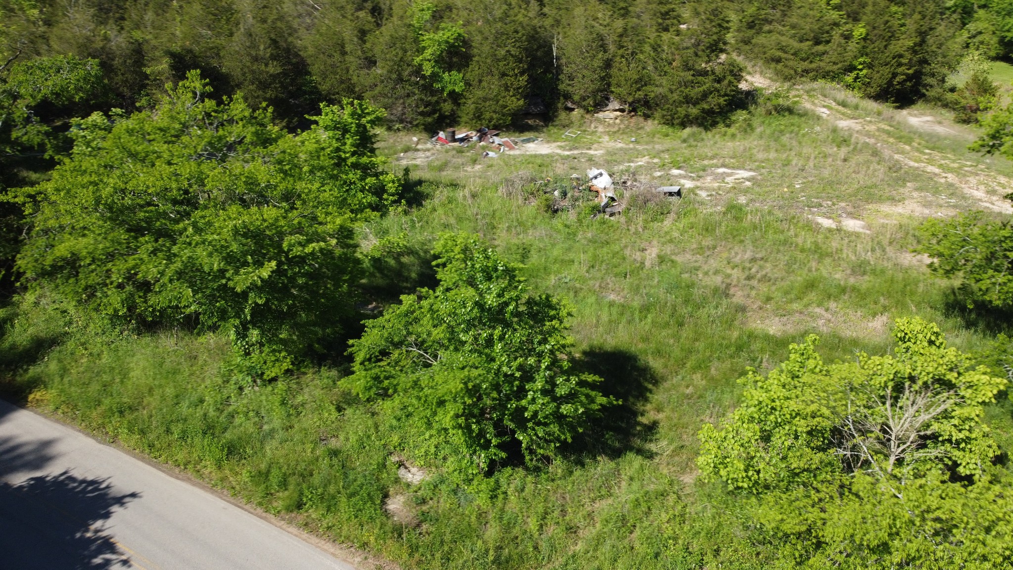 738 Rogues Fork Road Bethpage, TN 37022 - Photo 8 of 16 a view of a yard with plants and large trees