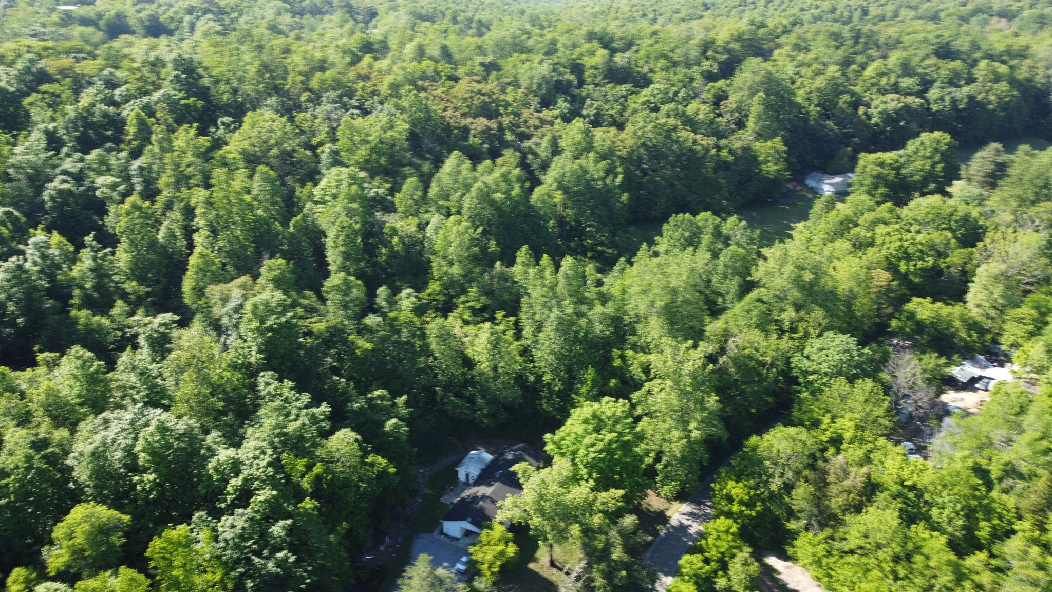 738 Rogues Fork Road Bethpage, TN 37022 - Photo 9 of 16 an aerial view of a house with a yard and outdoor space