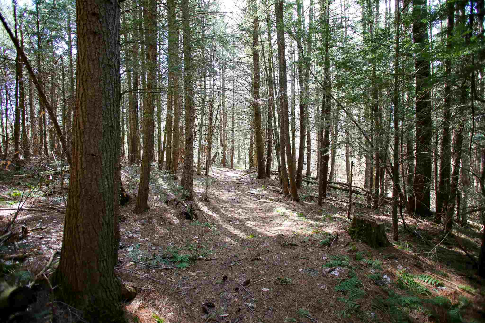 104 Ferguson Road Fairfax, VT 05454 - Photo 12 of 40
