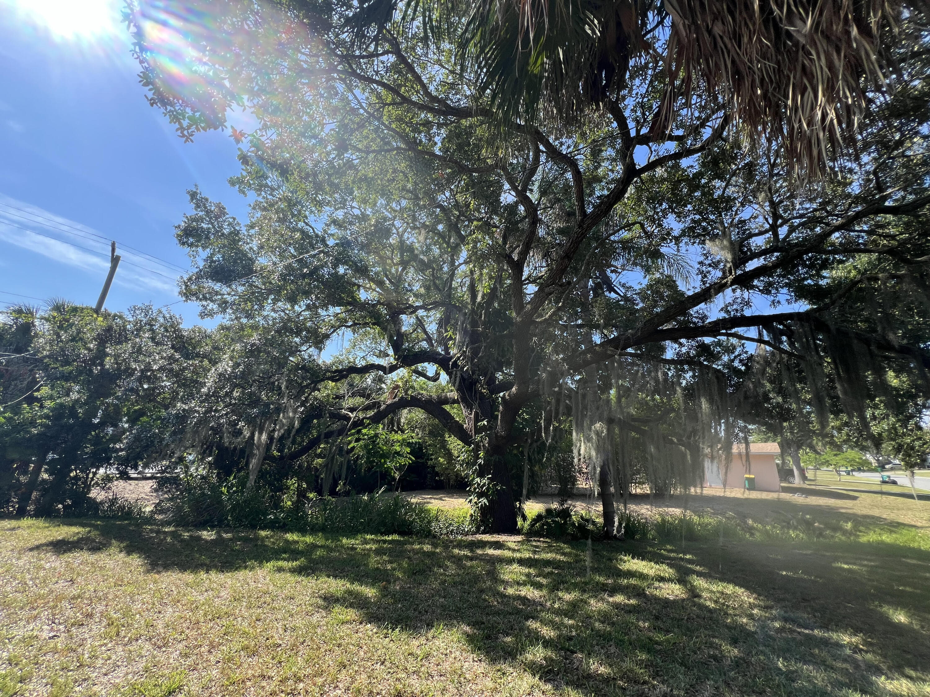 2807 South Vassar Street Melbourne, FL 32901 - Photo 12 of 12 a backyard of a house with lots of green space