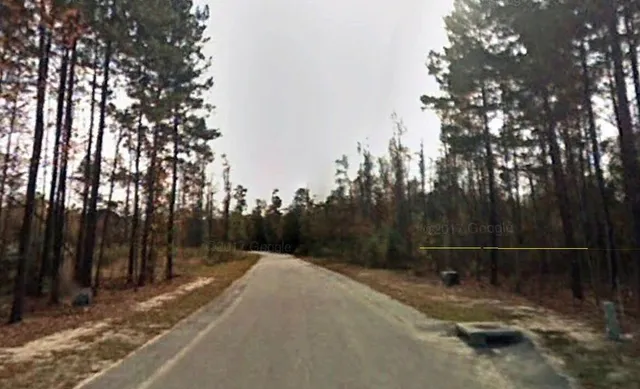 $49,500 | 205 Mt Hope Drive, Orangeburg, SC 29118