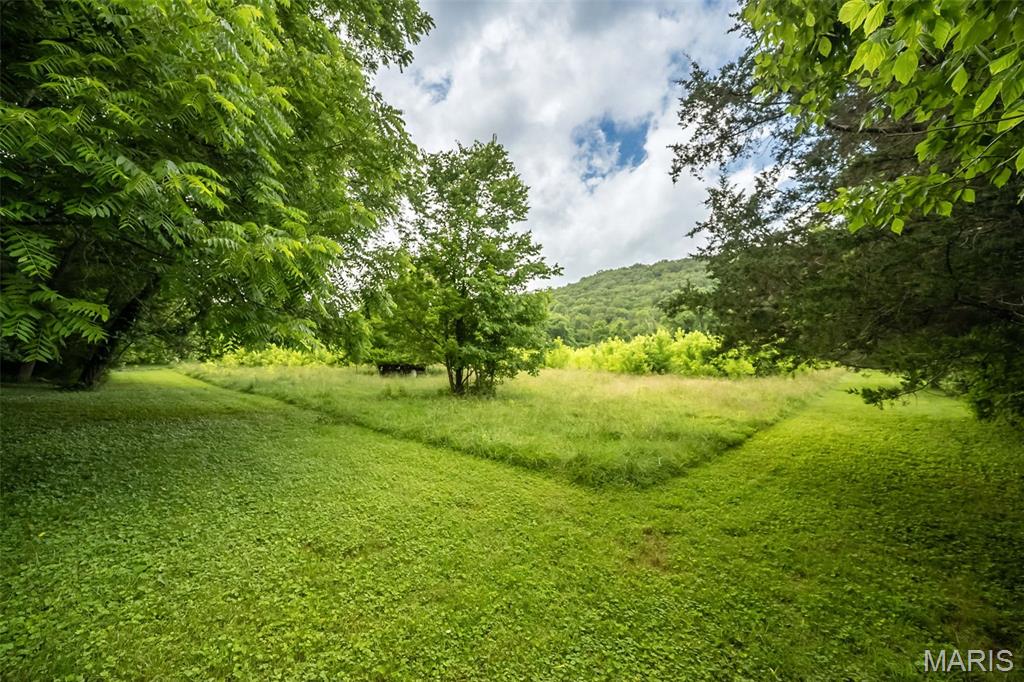 3037 Upper Moss Hollow Road Barnhart, MO 63012 - Photo 54 of 73