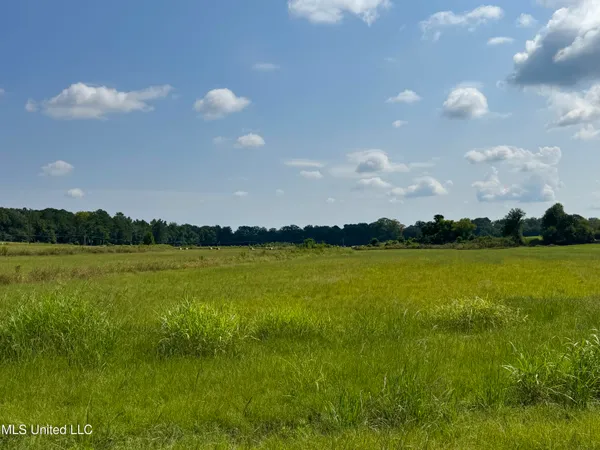$39,390 | R8 Old Highway 16, Benton, MS 39039