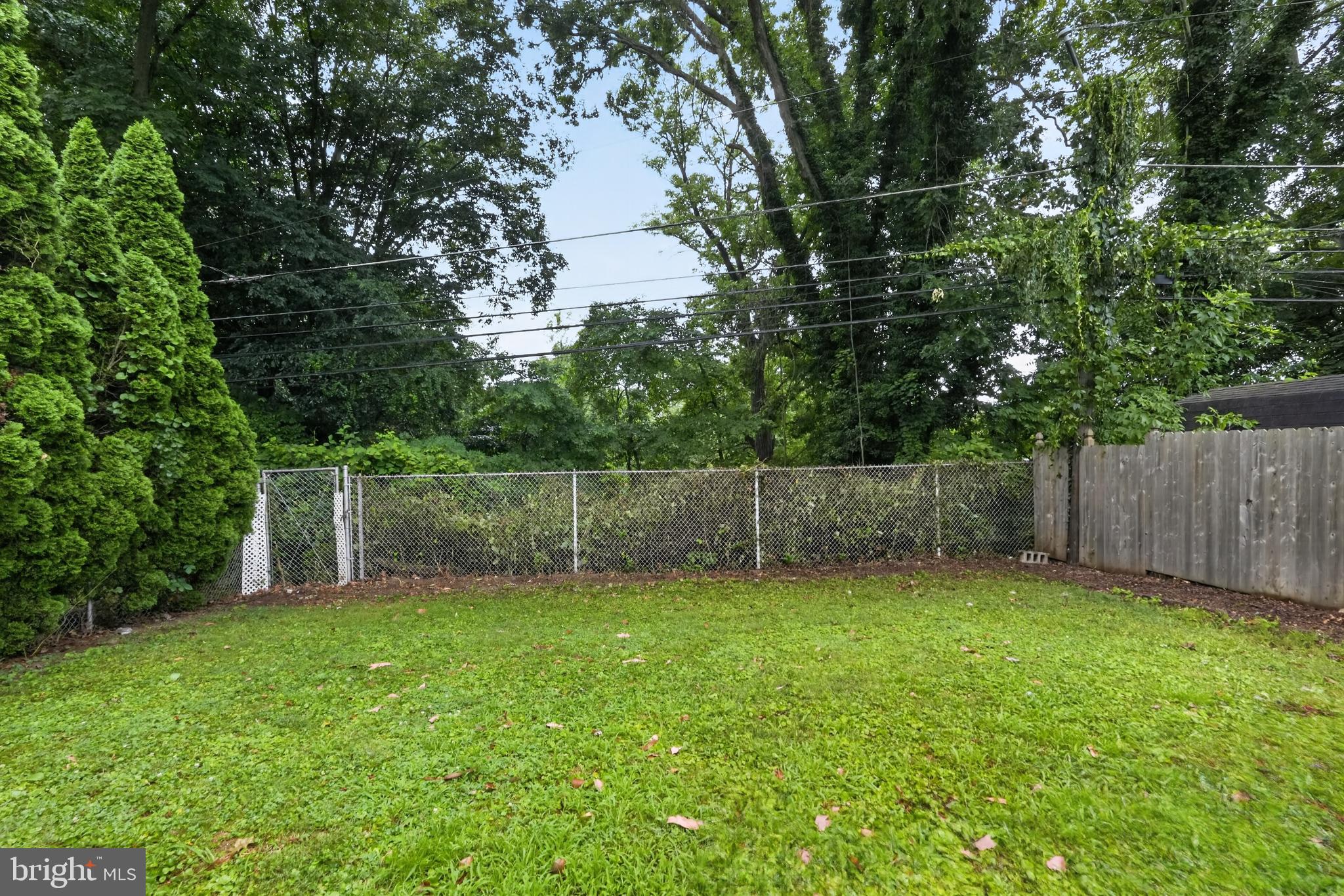 1420 Grace Road Swarthmore, PA 19081 - Photo 28 of 28 Back Yard