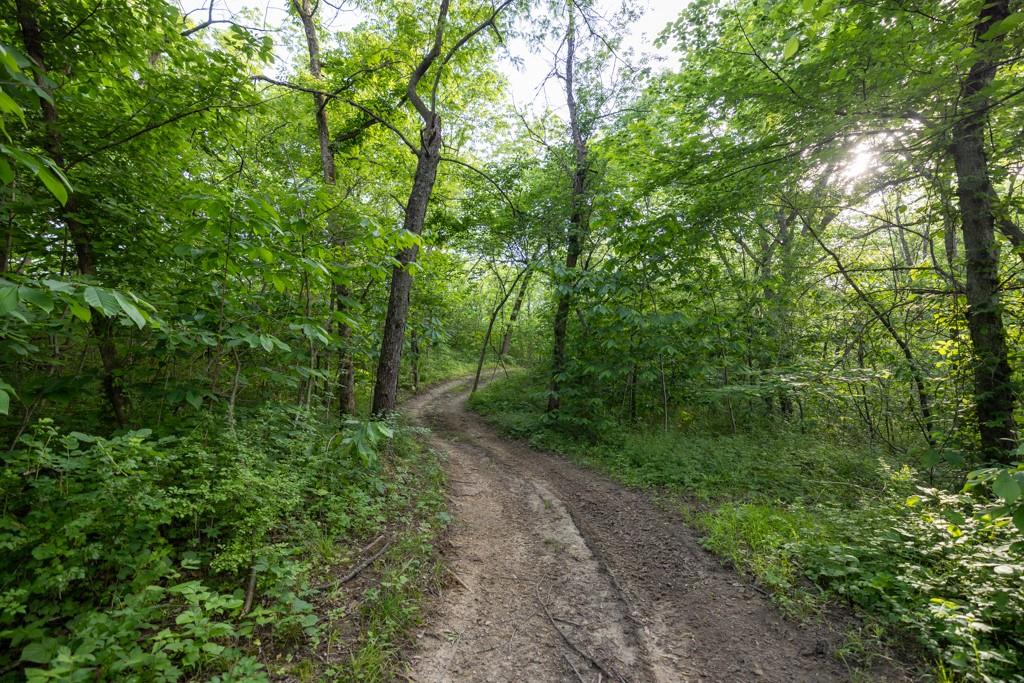 17710 Southwest 31st Road De Kalb, MO 64440 - Photo 33 of 99