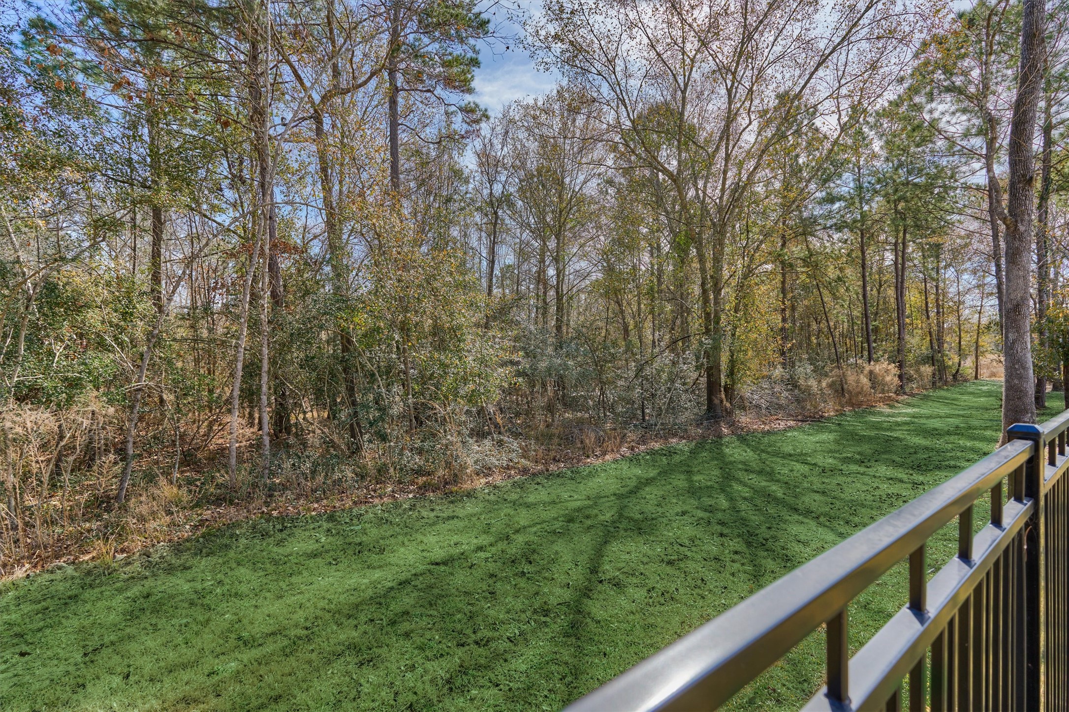 335 Samuels Link Lane Montgomery, TX 77316 - Photo 29 of 45 a view of a forest with trees in the background