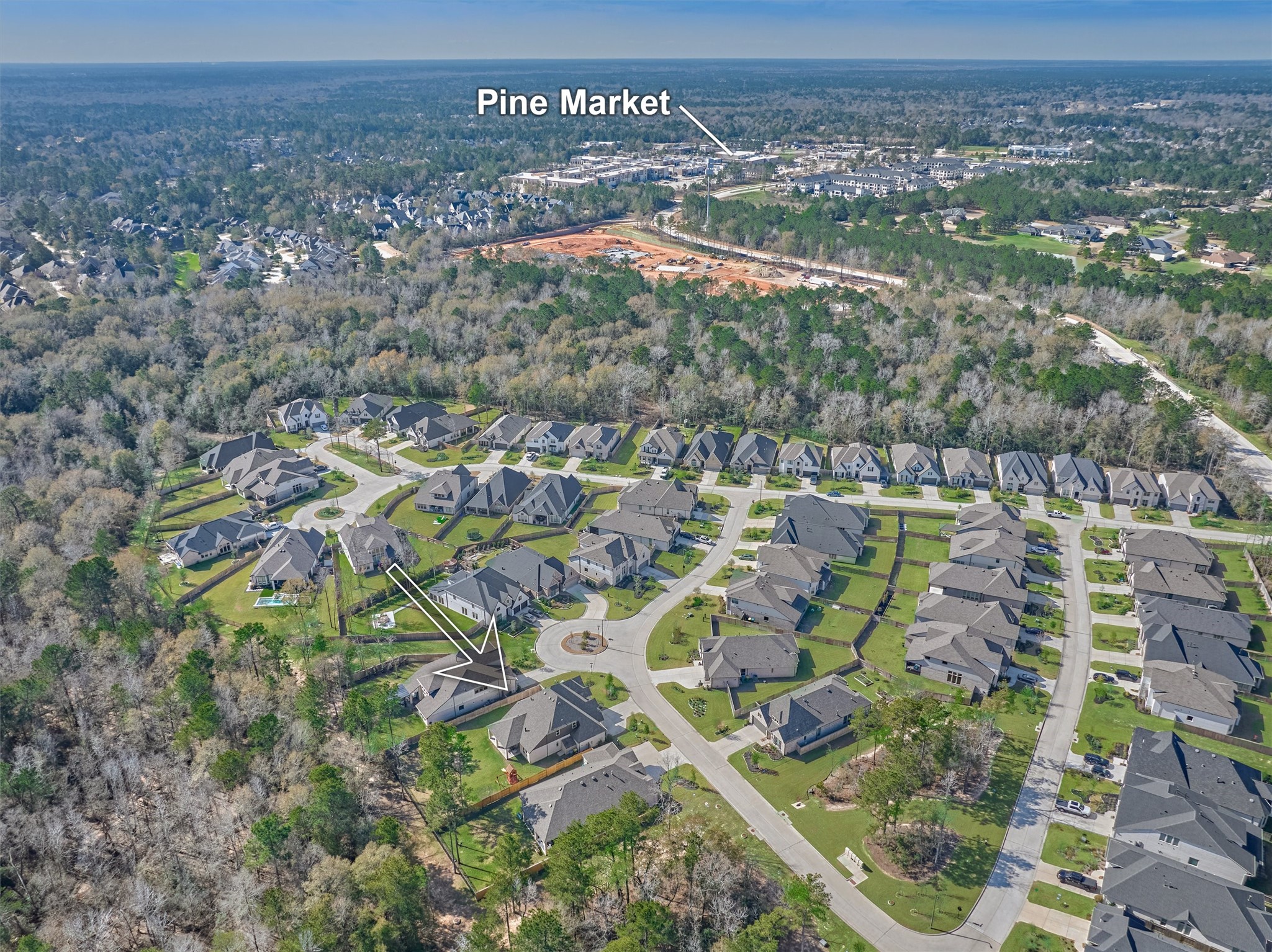 335 Samuels Link Lane Montgomery, TX 77316 - Photo 35 of 45 a view of a city