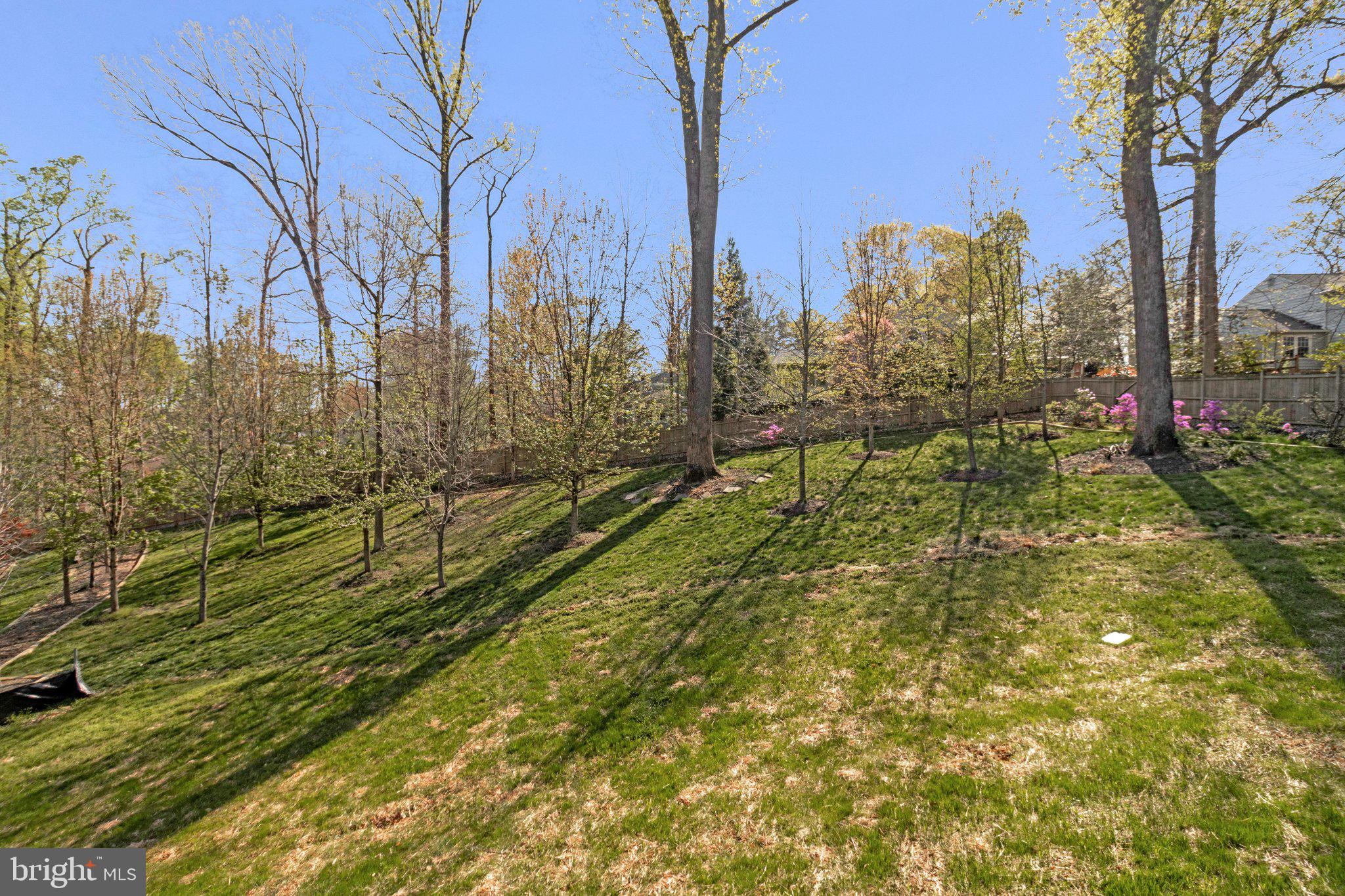 3525 Glenbrook Road Fairfax, VA 22031 - Photo 101 of 111 Yard