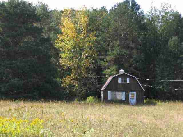 5260 Kilgore Road Croswell, MI 48422 - Photo 2 of 2 31056175-1.JPG