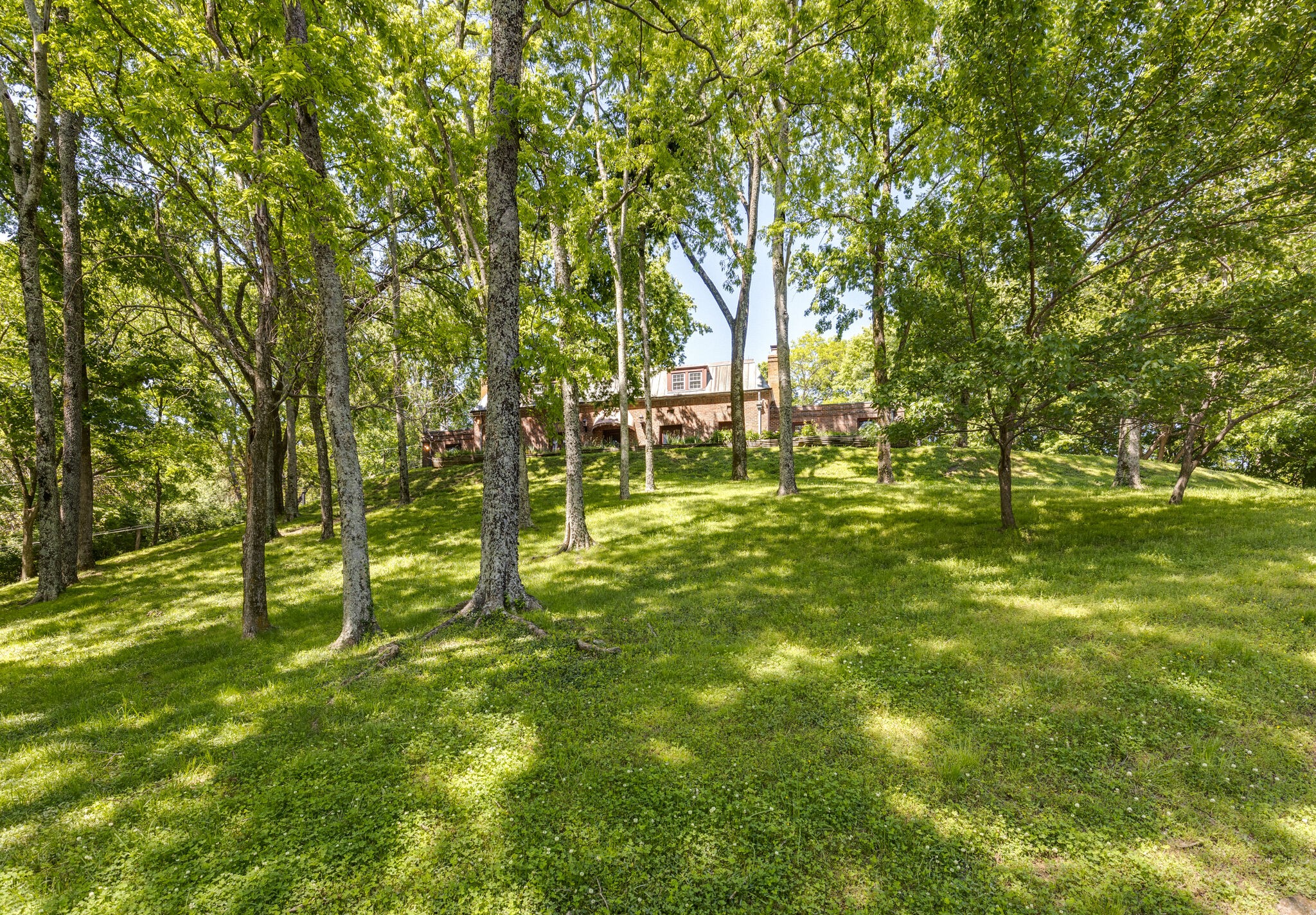 6603 Fox Hollow Road Nashville, TN 37205 - Photo 4 of 49 Gallery Image 4