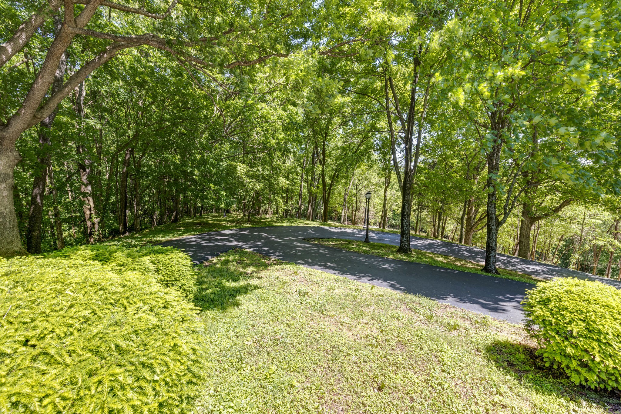 6603 Fox Hollow Road Nashville, TN 37205 - Photo 5 of 49 Gallery Image 5