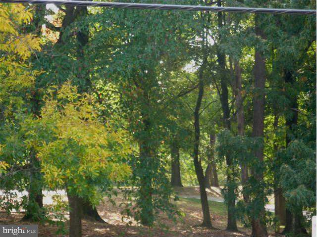 218 Riverthorn Road Baltimore, MD 21220 - Photo 22 of 24 View from Back Porch