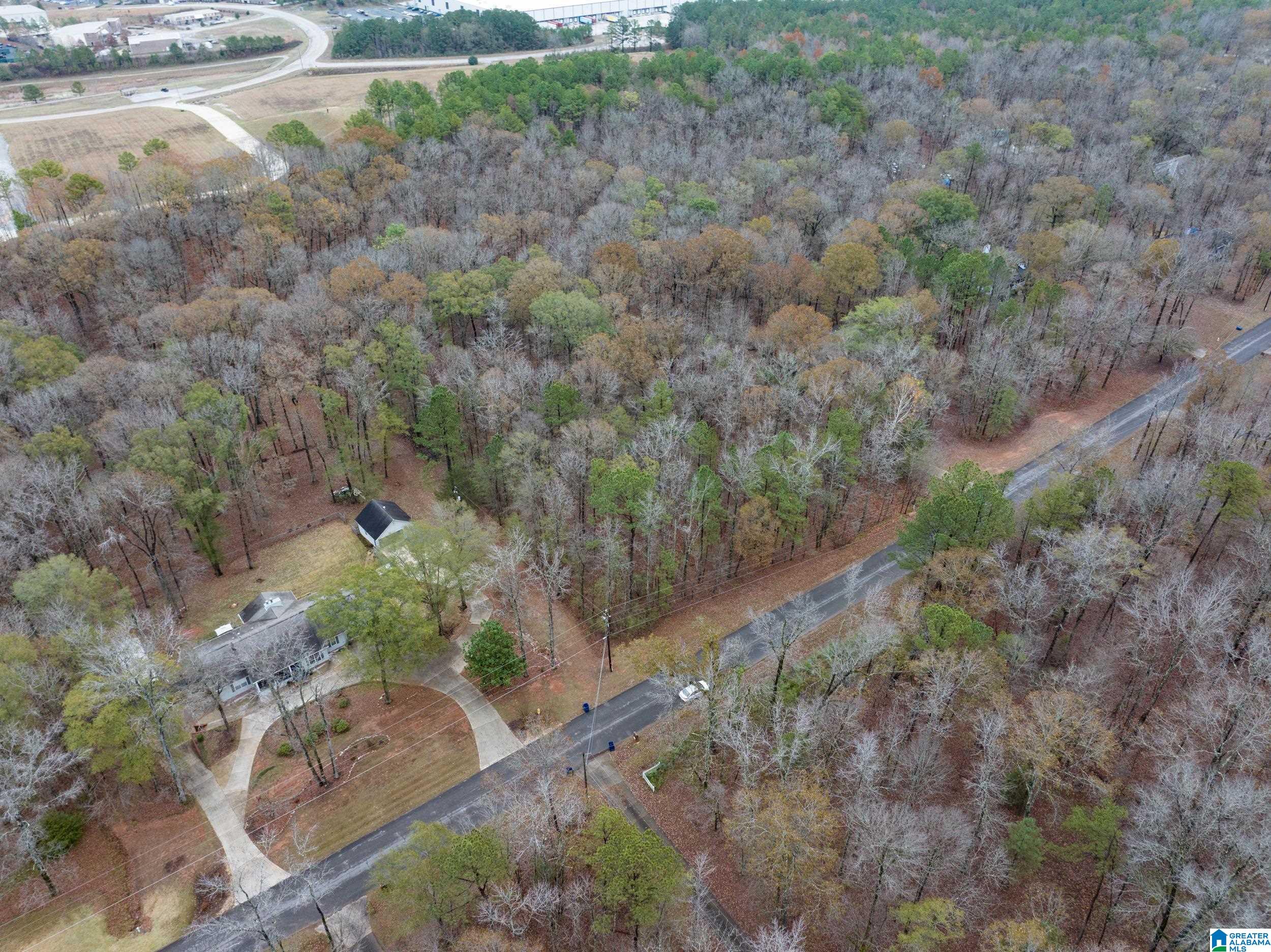 145 Chestnut Drive, Unit 1 Alabaster, AL 35007 - Photo 5 of 6