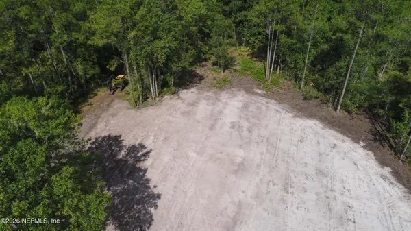 a view of a forest with trees
