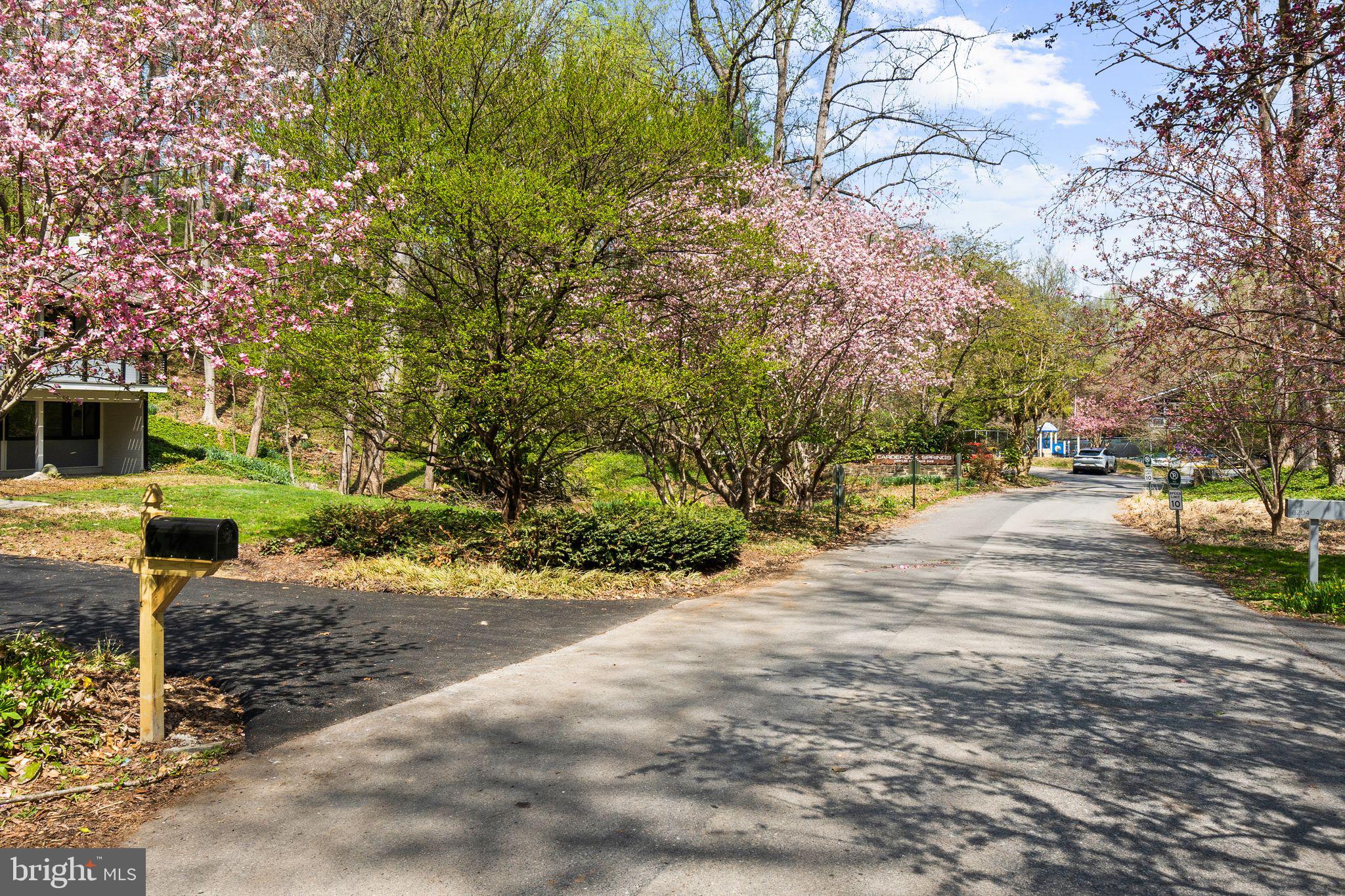 8201 Hamilton Spring Court Bethesda, MD 20817 - Photo 60 of 66