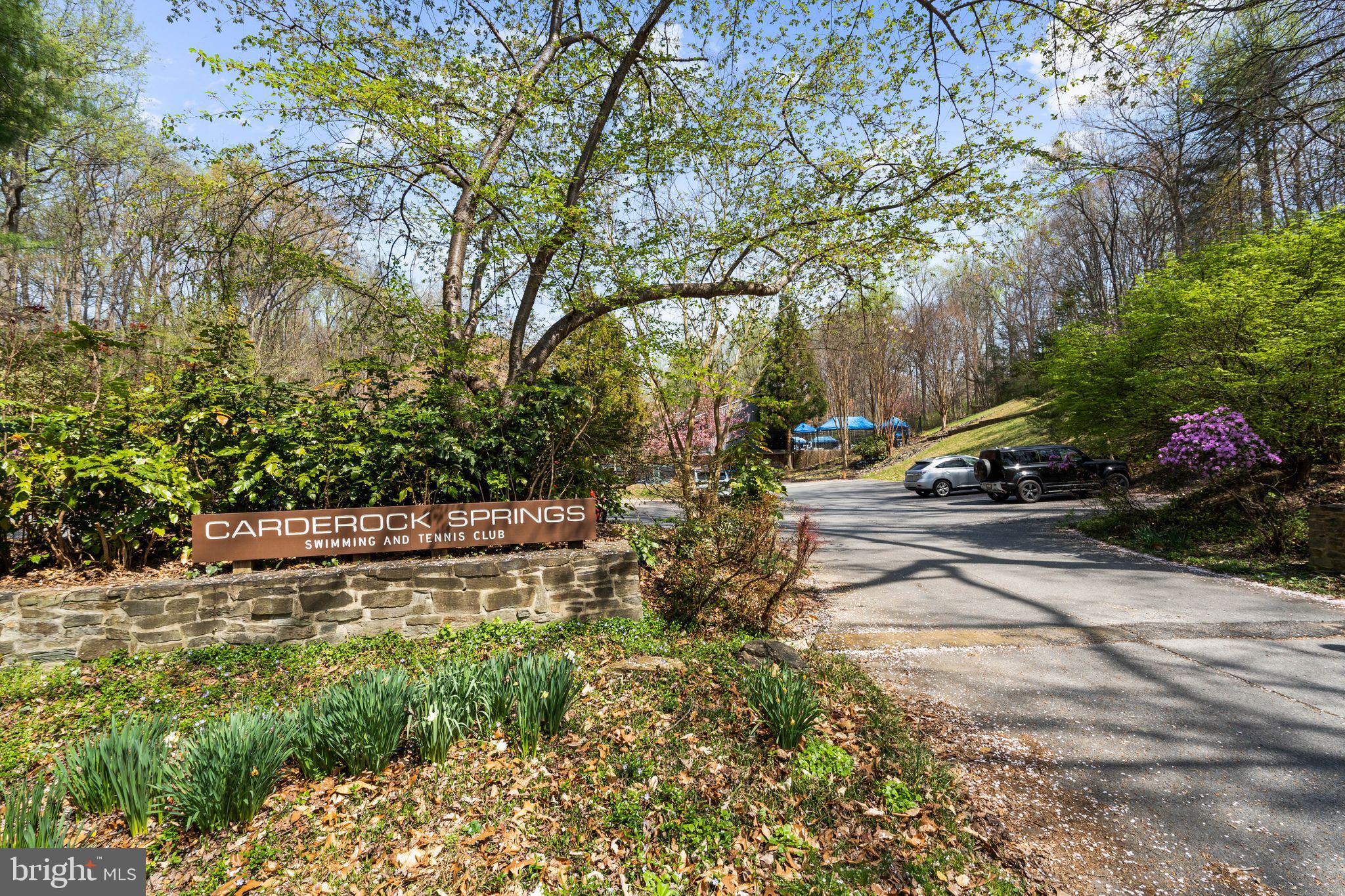 8201 Hamilton Spring Court Bethesda, MD 20817 - Photo 61 of 66