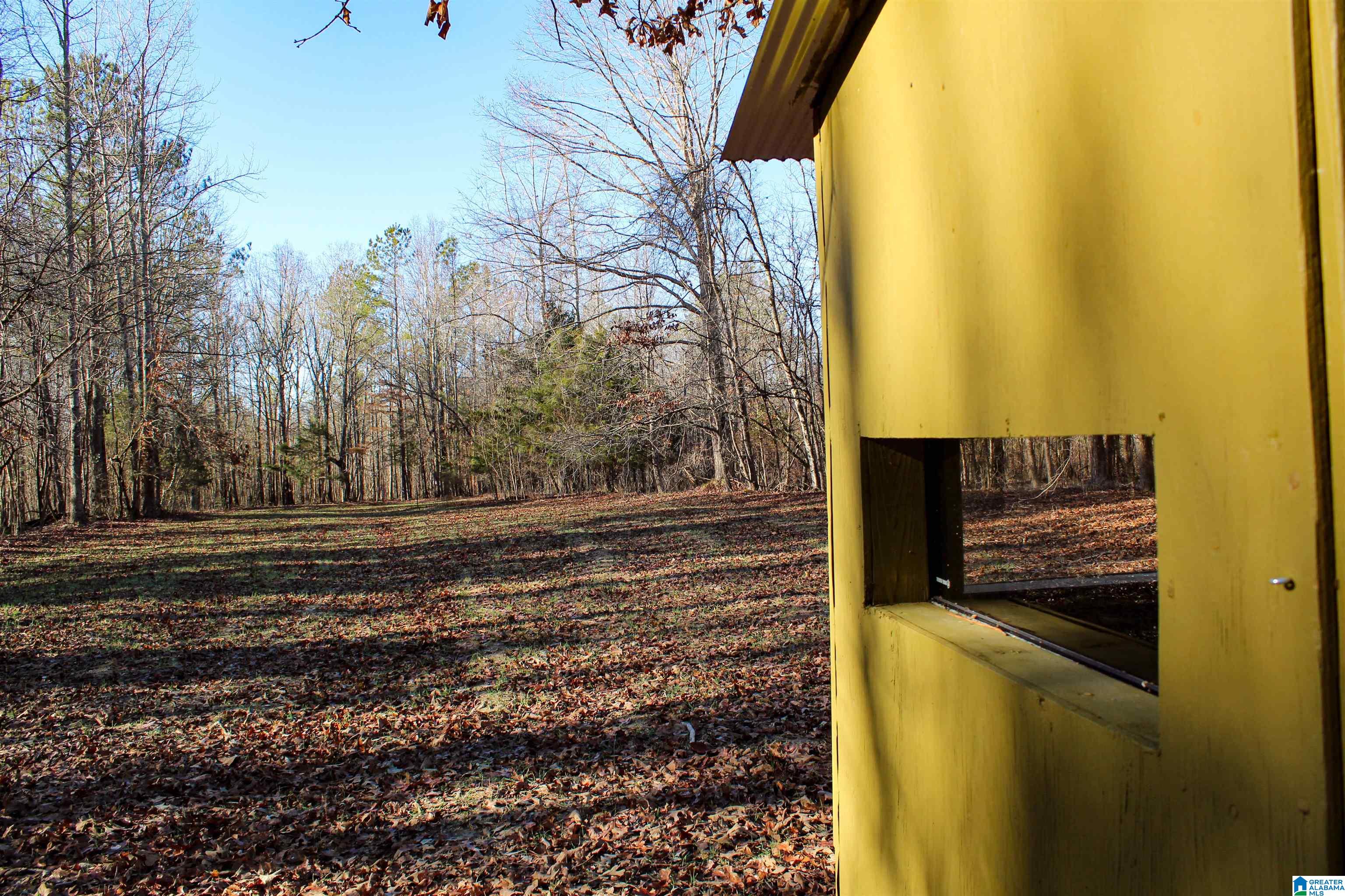 29 Highway Hamilton Al, Unit 1 Hamilton, AL 35570 - Photo 35 of 55