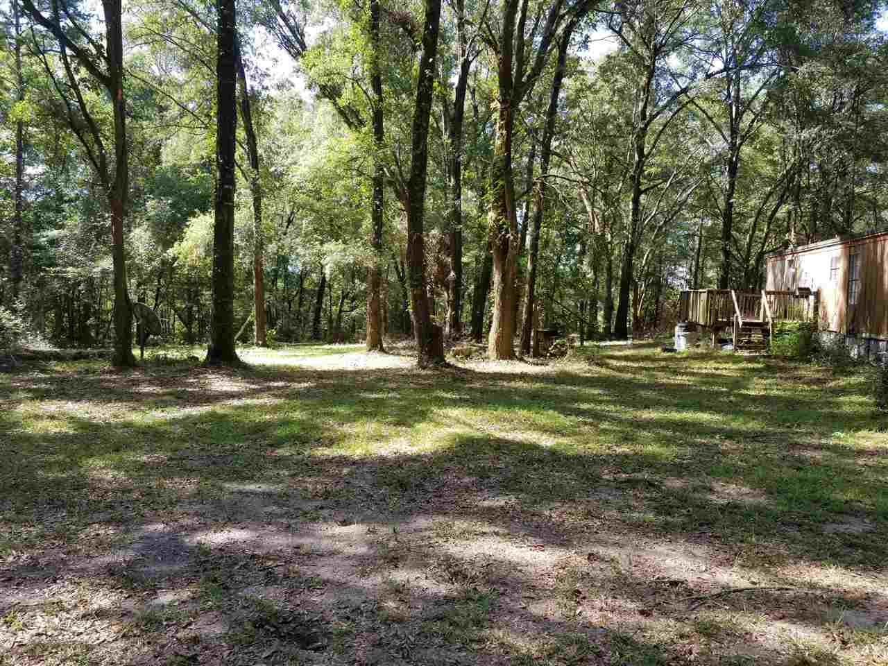 1297 Riverview Road Havana, FL 32333 - Photo 4 of 20 Gallery Image 4
