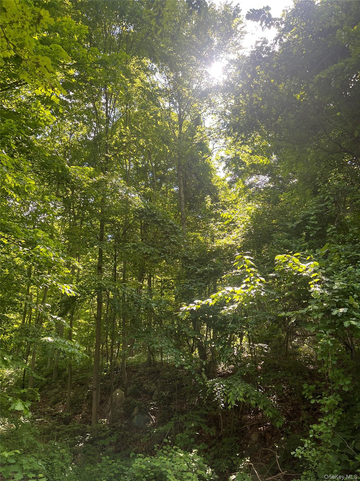 Old Church Road Putnam Valley, NY 10579 - Photo 26 of 26 a view of yard