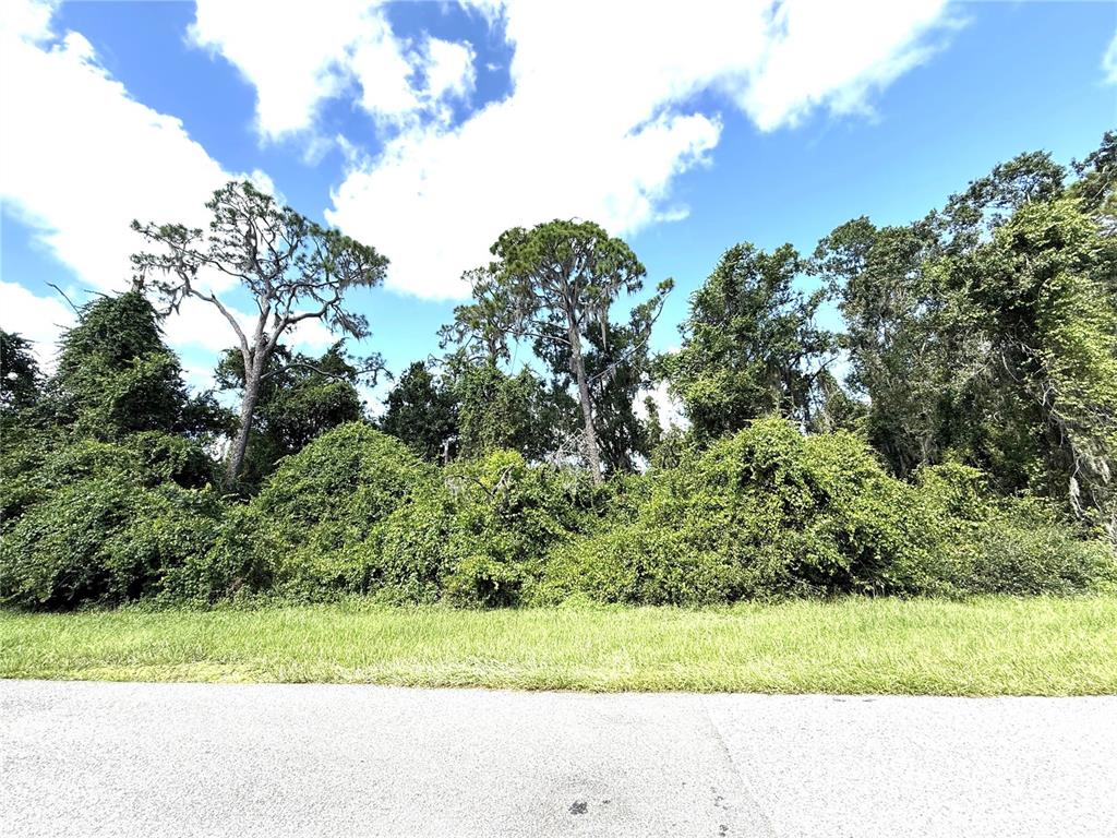 0 Deer Road Frostproof, FL 33843 - Photo 2 of 4 a view of a yard with a tree