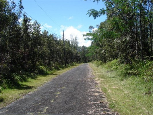 467 Lahaina Road Pahoa, HI 96778 - Photo 3 of 3 Gallery Image 3