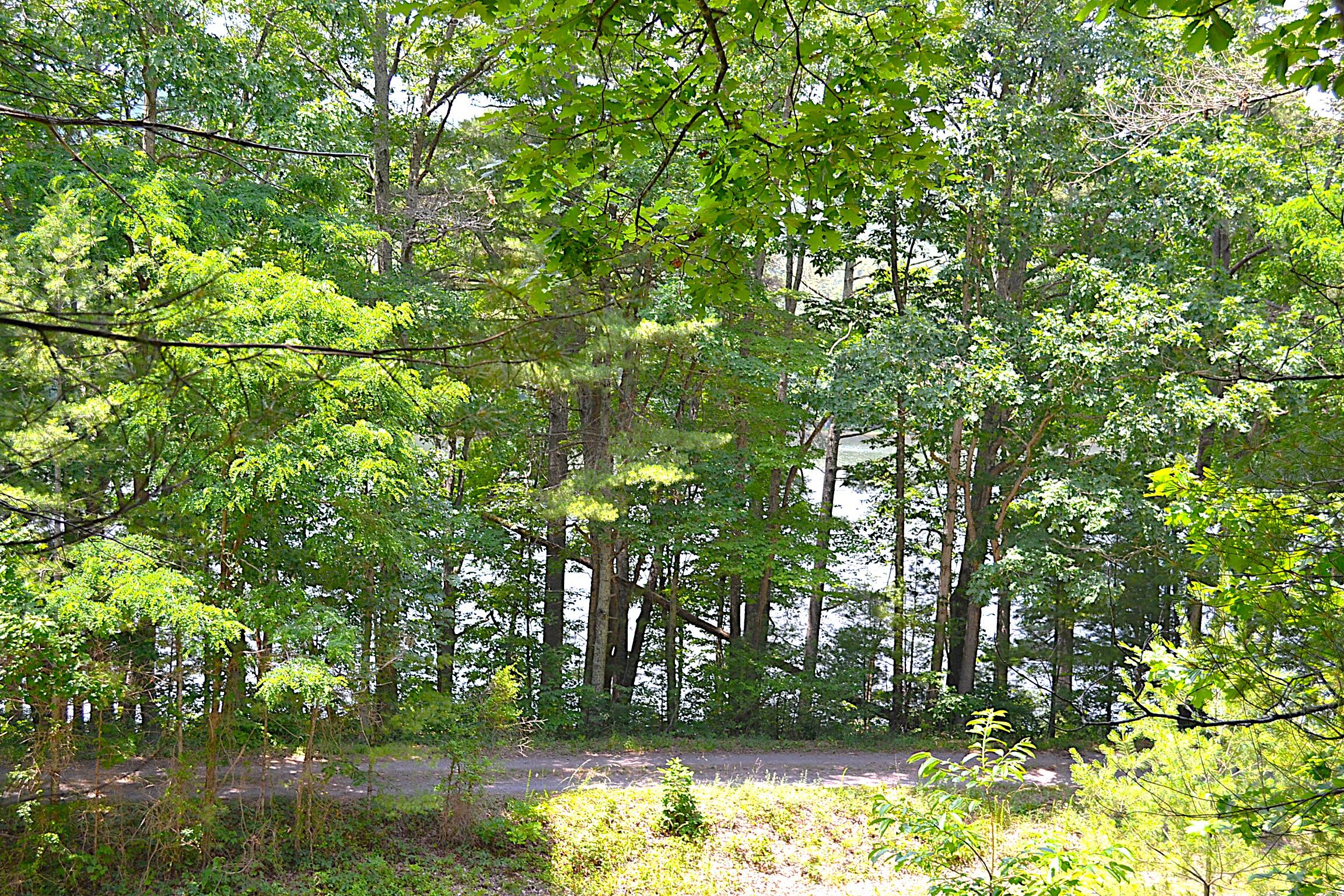 Moncove Lake Road Gap Mills, WV 24941 - Photo 2 of 27 Lake View