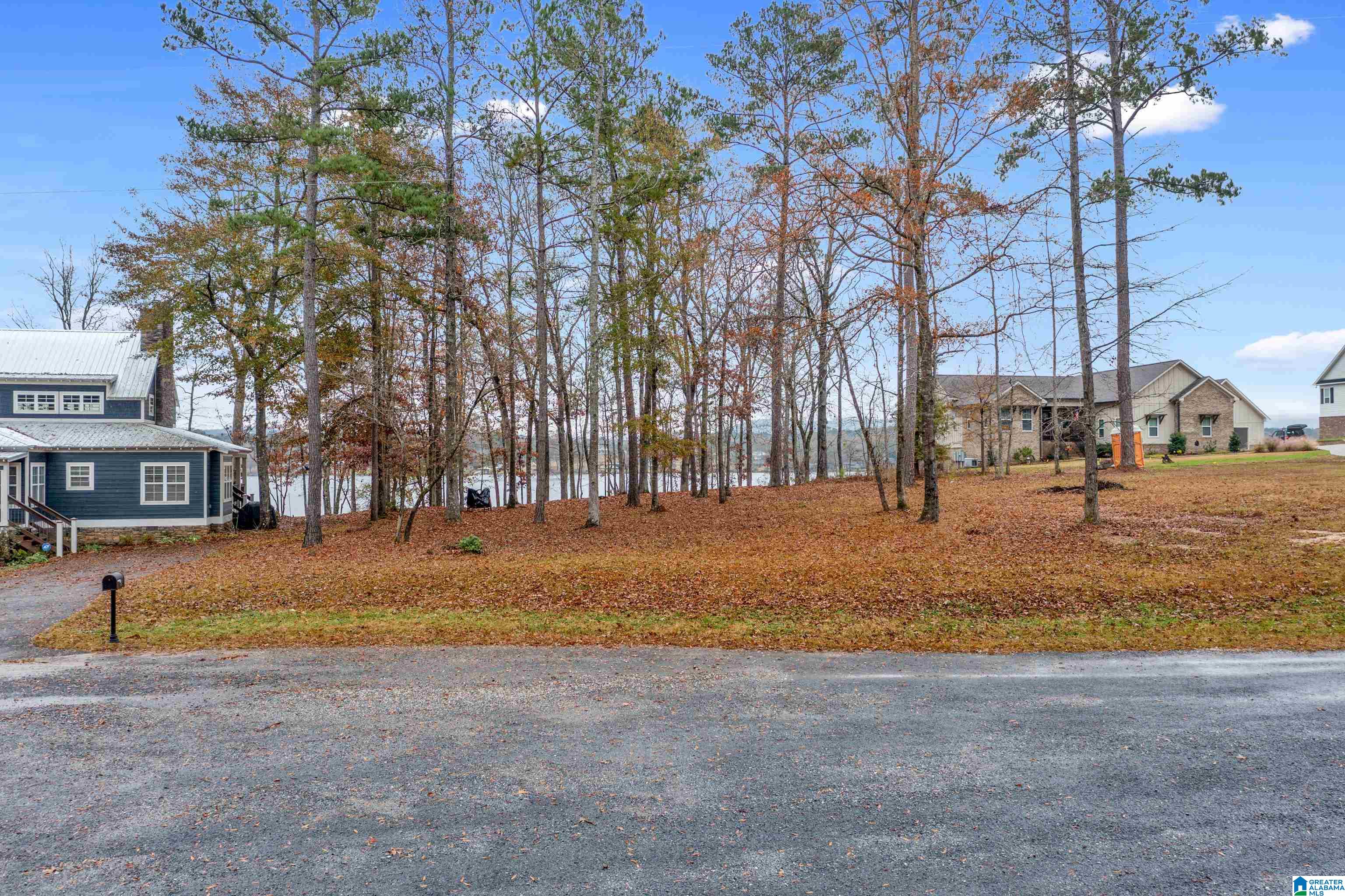 0 Timber Trail, Unit 27 Sylacauga, AL 35151 - Photo 4 of 14