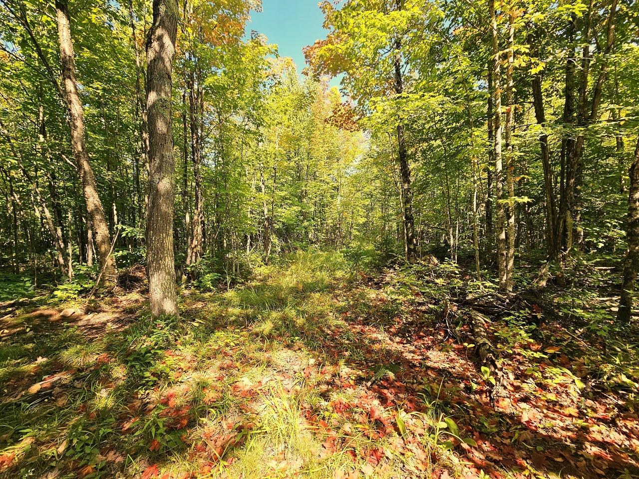 10310 North Dump Road Hurley, WI 54534 - Photo 12 of 18 Gallery Image 12