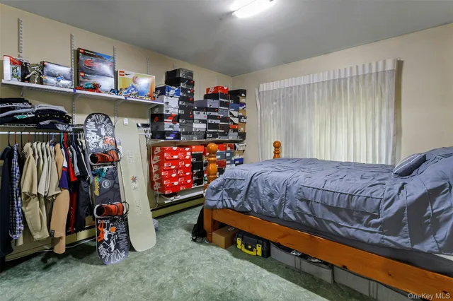 a bed room with a bed and a walk in closet