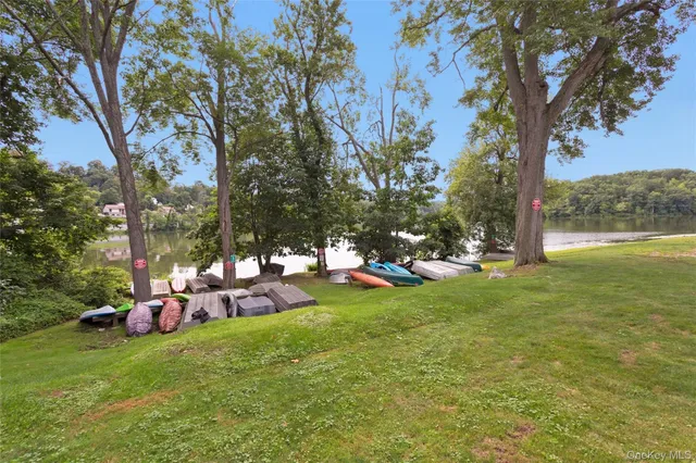 a view of a park with large trees