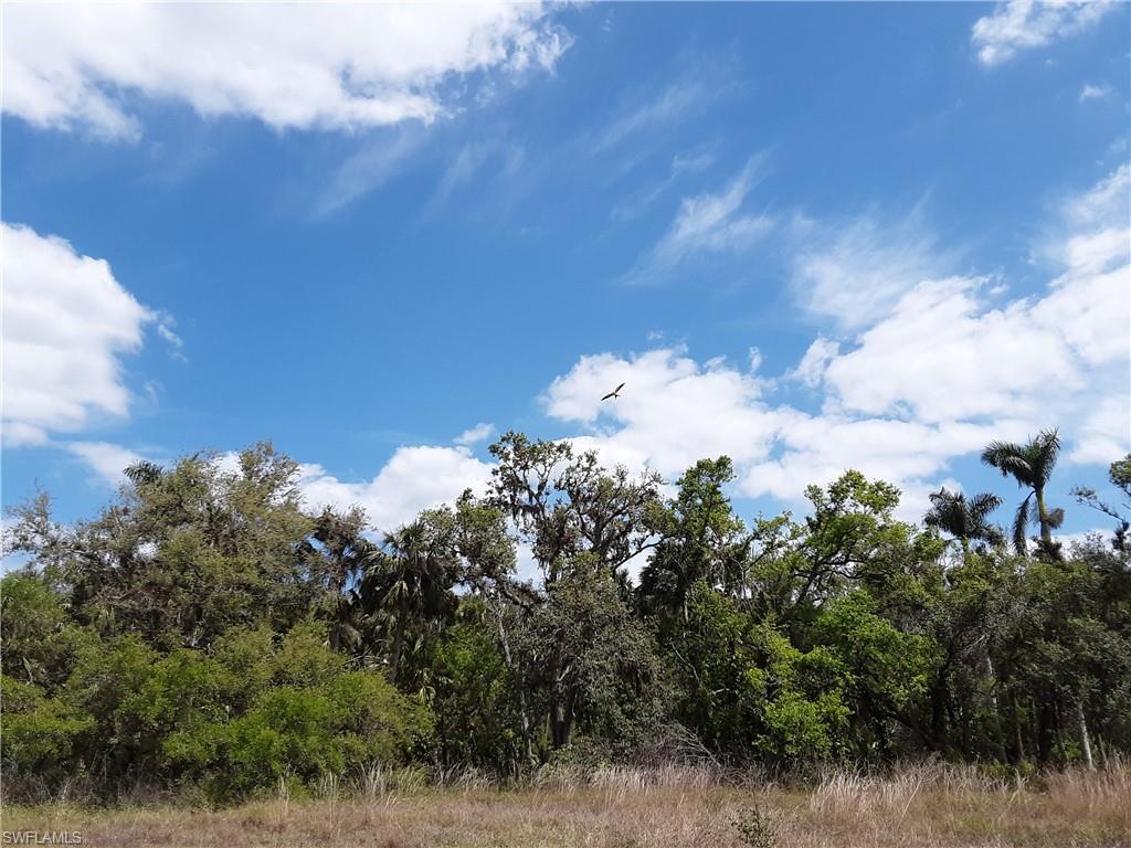 12200 Coyle Road Fort Myers, FL 33905 - Photo 3 of 7 Beautiful park-like setting