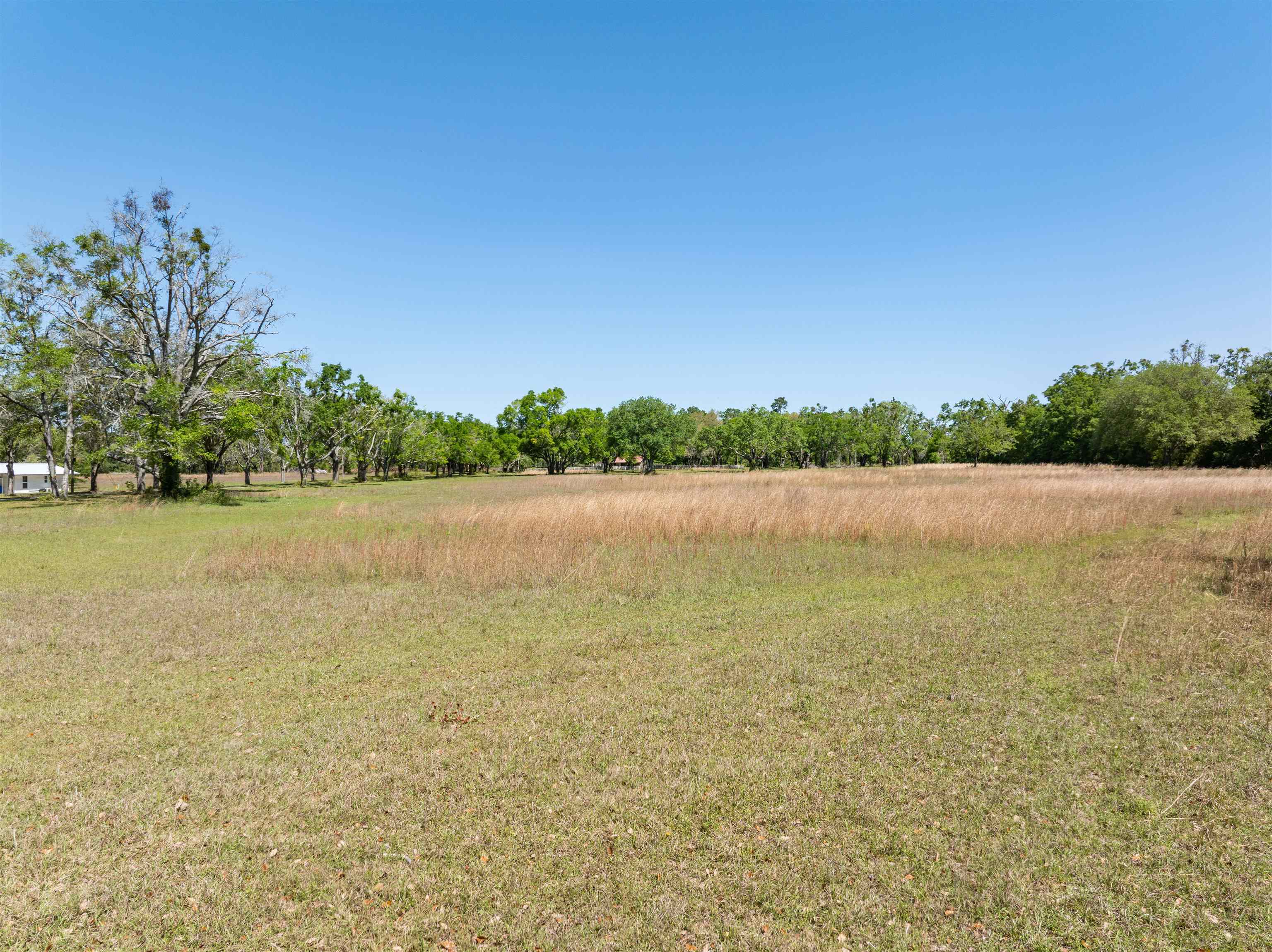 444 Southeast Bisbee Loop Madison, FL 32340 - Photo 27 of 42 Gallery Image 27