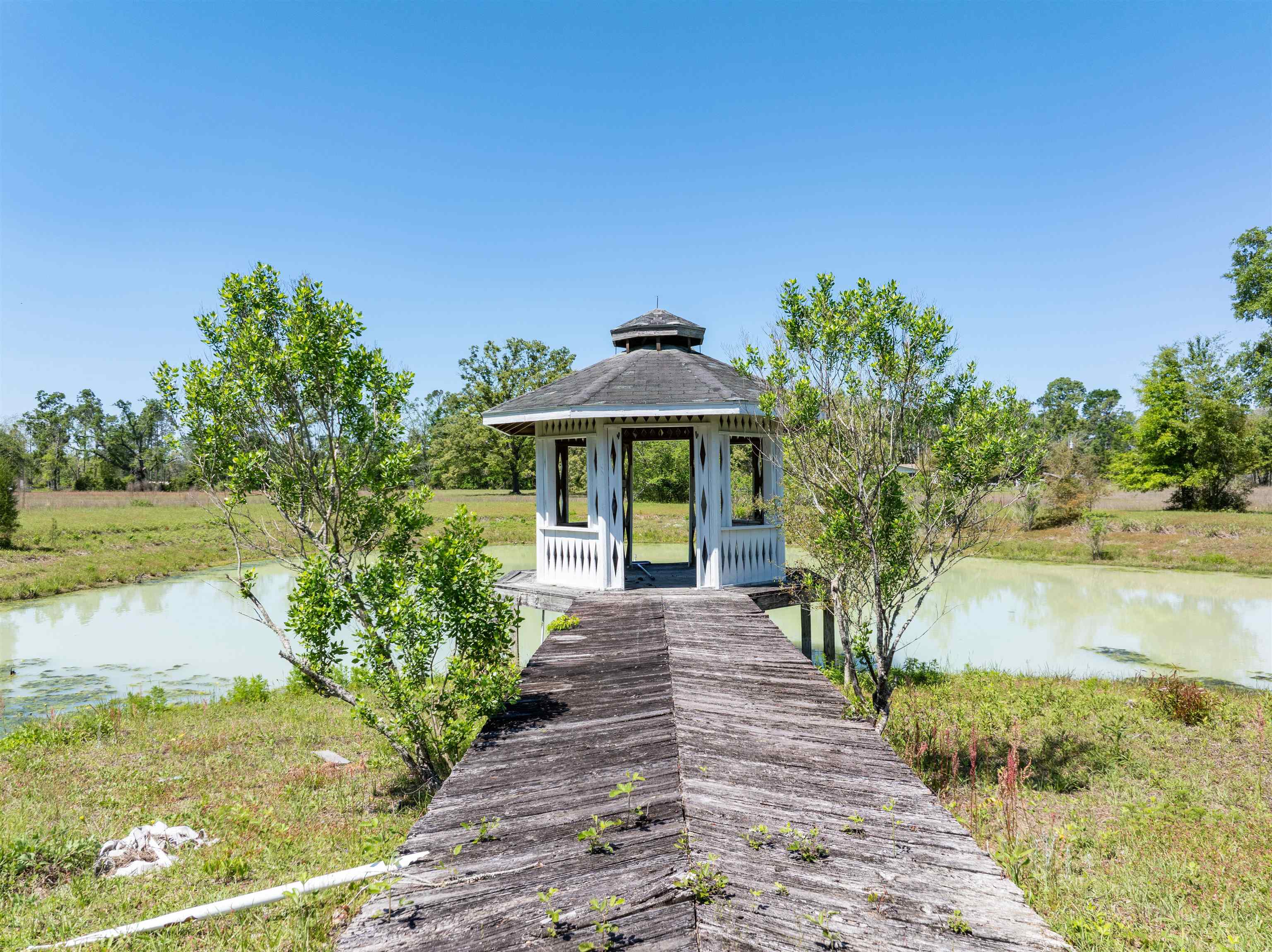 444 Southeast Bisbee Loop Madison, FL 32340 - Photo 7 of 42 Gallery Image 7