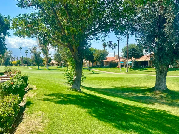 a view of a trees in a park