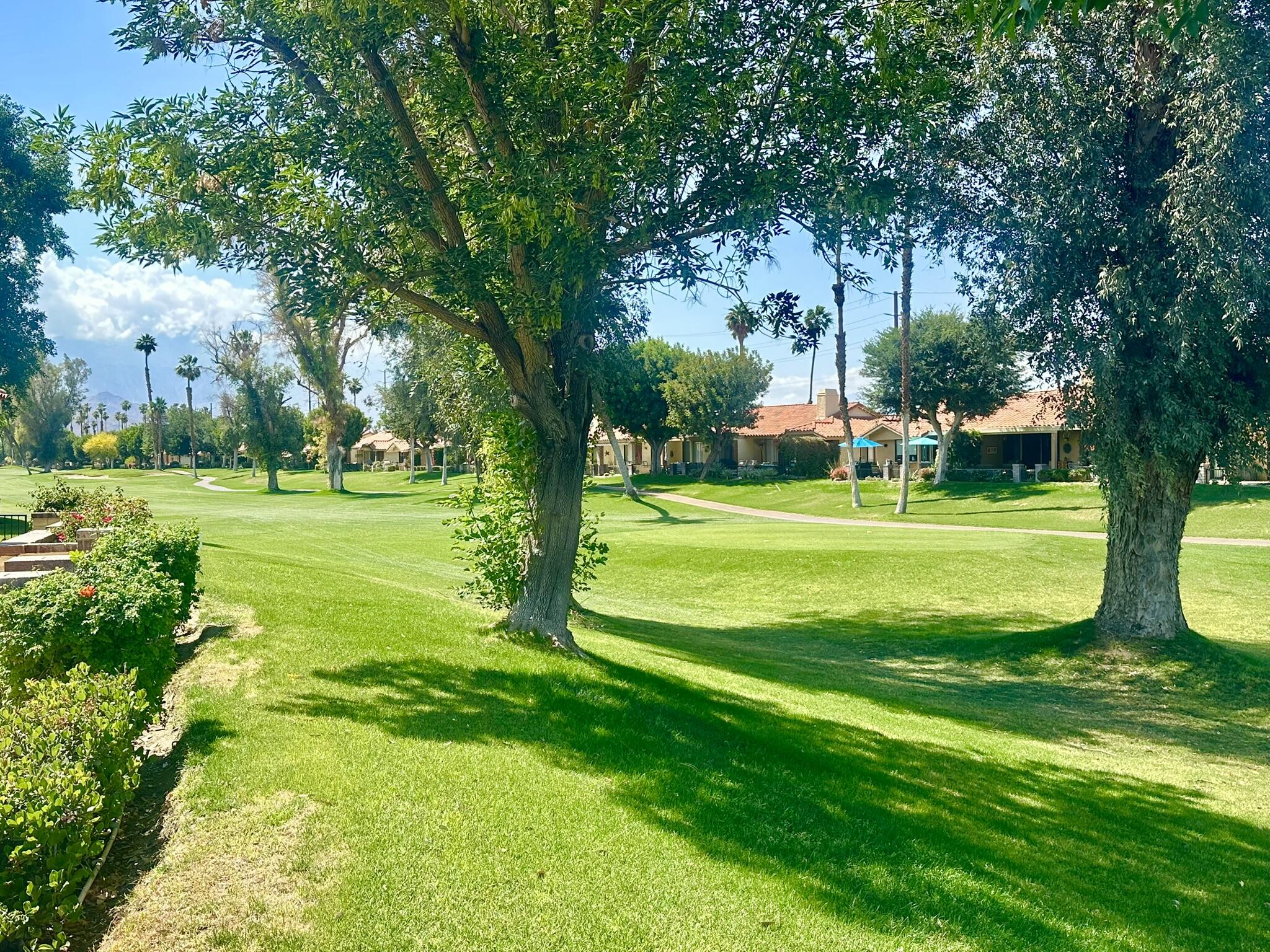 336 Villena Way Palm Desert, CA 92260 - Photo 2 of 19 a view of a trees in a park
