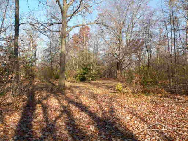 8720 Ederer Road Saginaw, MI 48609 - Photo 9 of 14 20106135-8.JPG
