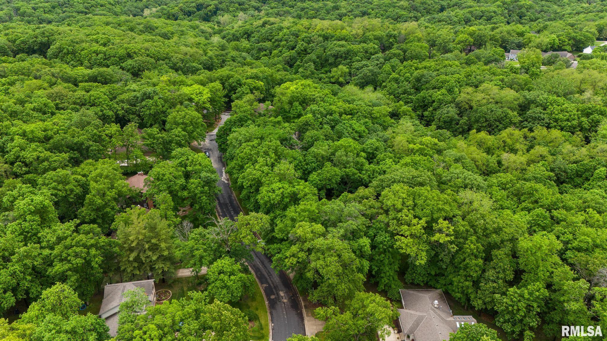 12227 Wood Ridge Court Dunlap, IL 61525 - Photo 49 of 54