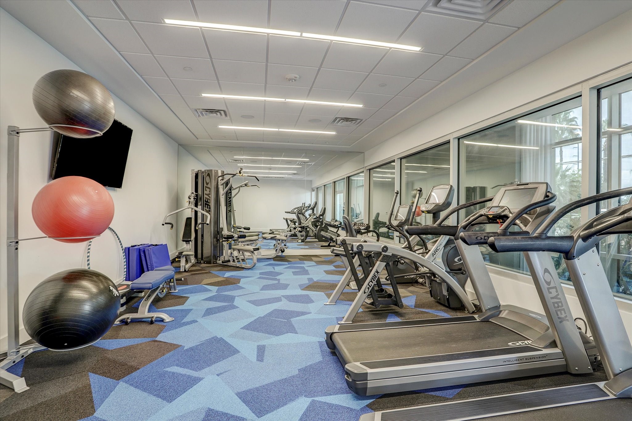 3331 D'Amico Street, Unit 1003 Houston, TX 77019 - Photo 38 of 46 a room with gym equipment