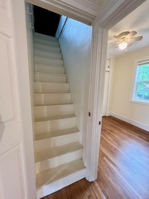 61 Center Street Bridgewater, MA 02324 - Photo 23 of 33 a view of entryway