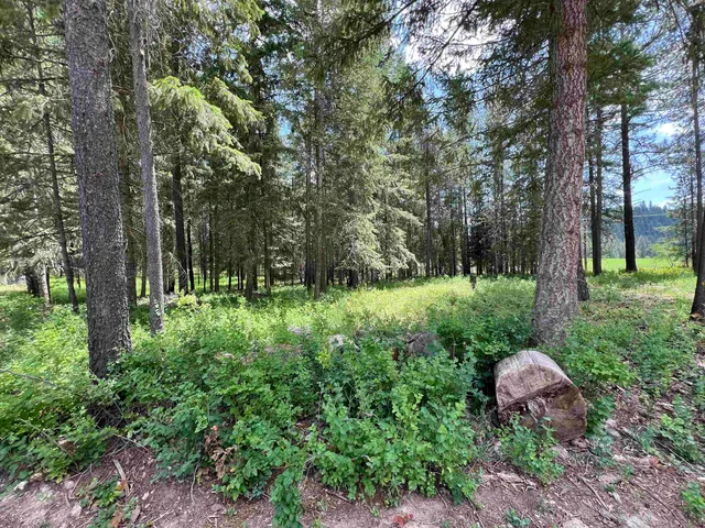 $275,000 | 4430 D Springdale Hunters Road, Springdale, WA 99173