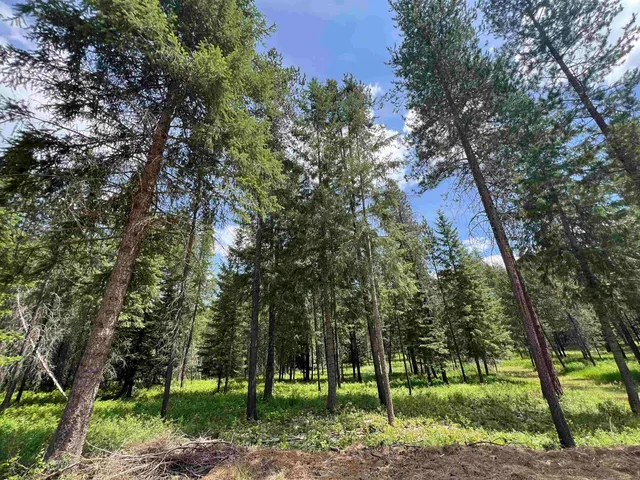 $275,000 | 4430 D Springdale Hunters Road, Springdale, WA 99173